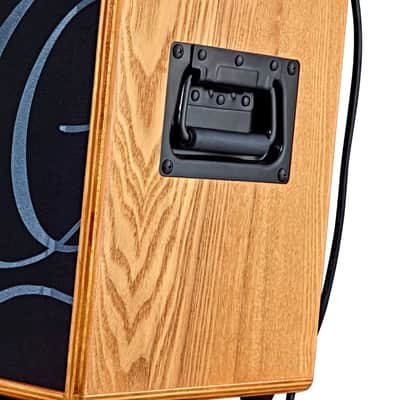 Ortega S-ONE Acoustic Cabinet image 2