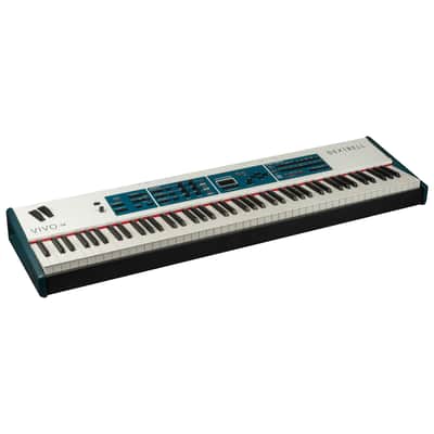 Dexibell VIVO S8 Stage Piano CARRY BAG KIT image 2