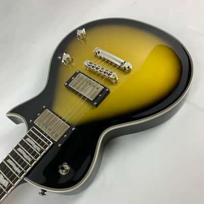 ESP LTD BK-600 Bill Kelliher Electric Guitar Vintage Silver Sunburst + ESP Case BRAND NEW BK600 - SEE PICS image 8
