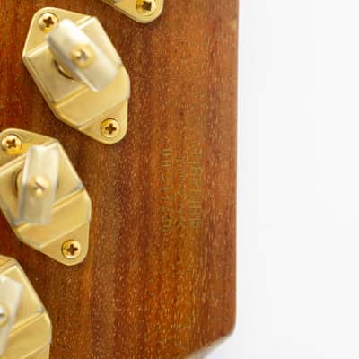 Gibson Firebird '76 Bicentennial 1976 Natural image 19