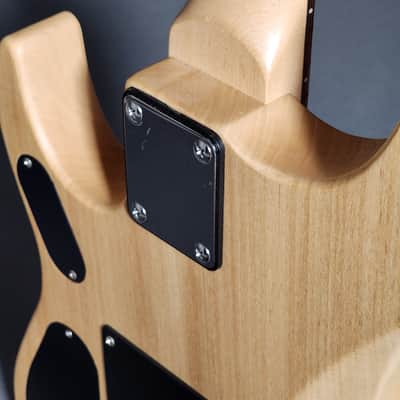 Washburn Nuno Bettencourt N1 2014 - Natural image 9