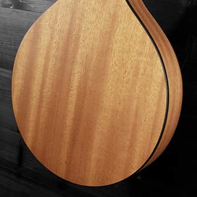 Eastman PCH M104-GB Goldburst A-Style Flattop Oval Hole Mandolin image 15