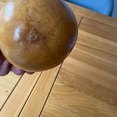 Immagine Handmade Medium natural gourd guiro 2010’s - Lacquered - 3