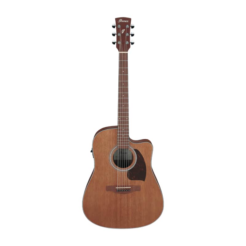Ibanez PF54CE Performance image 1