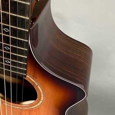 Breedlove Premier Concert Edgeburst CE 2023 image 5