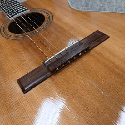 Vintage 1969 Harmony Sovereign H1203 w/ Hard Shell Case image 13