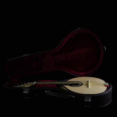 Pedro Santos 10-String Mandolin with VS Tuners | Brazil (Dudu Maia Model) image 10