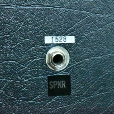 Polytone Mini-Brute Satellite (Extension) 1 X 15" Speaker image 7
