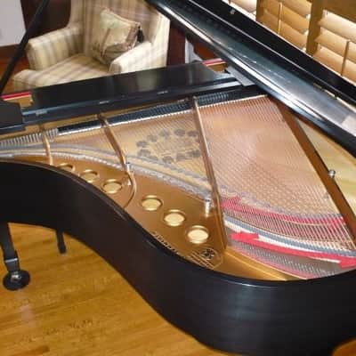 1917 Steinway Baby Grand Model M Satin Black image 8