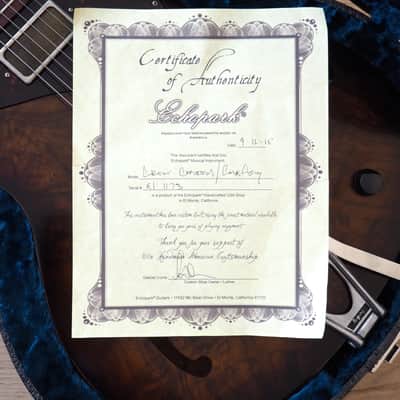 2015 Echopark Custom Crow Case Study Boutique Semi-Hollowbody Electric Guitar w/ ohsc, QOTSA image 18