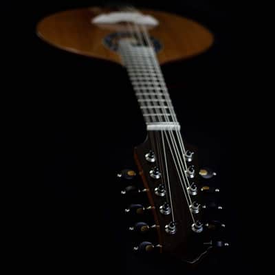 Junio Americo 10-String Mandolin | Brazil (with VS Tuners) image 9