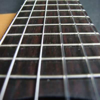 Salvador Ibanez GA5TCE-14-01 Thinline Classical Acoustic/Electric Guitar image 12