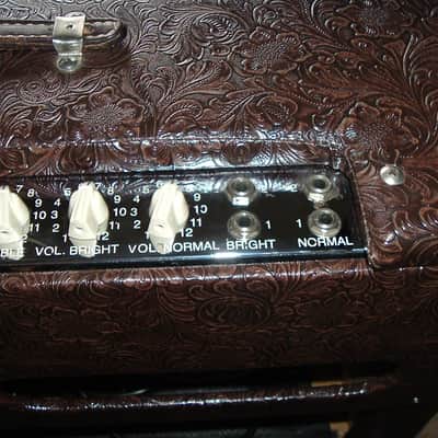 Louis Electric Custom Build image 3