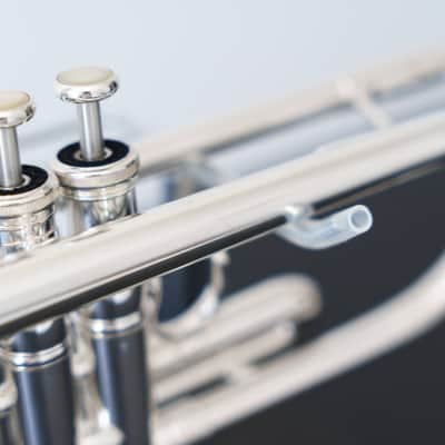 Yamaha YTR-8335IIGS Xeno Bb Trumpet with Gold Brass Bell (SN 5503xx) image 15