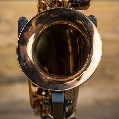 Chateau CAS-50C Alto Saxophone Cognac Lacquer Finish w/Case image 9