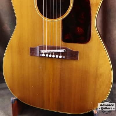 Epiphone 1966 FT-45 Cortez image 11