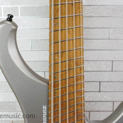 Ibanez EHB1005SMS-MGM Bass Workshop - Metallic Gray Matte image 3