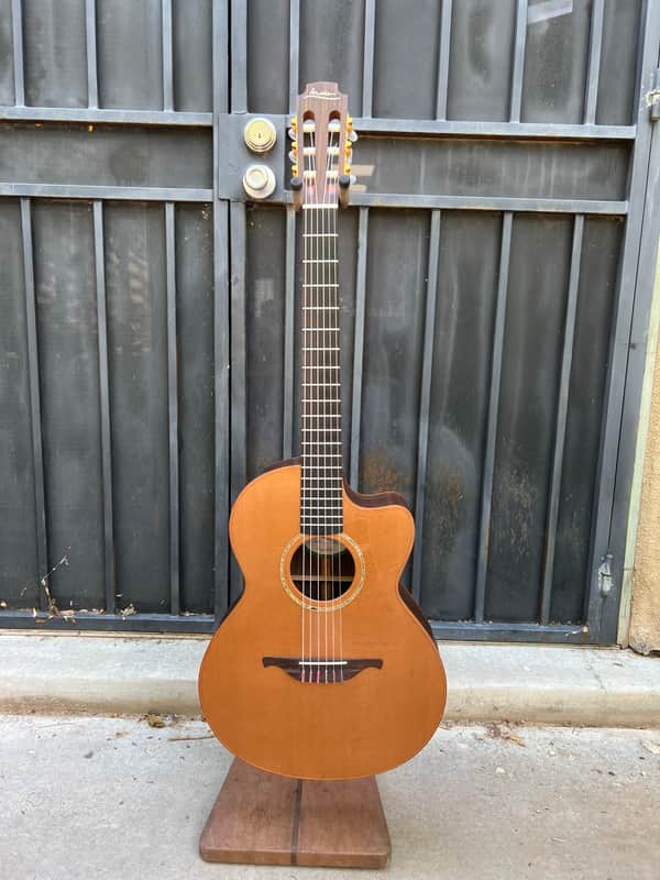 Lowden S25J Nylon string Jazz "Crossover" 2002, MINT image 1
