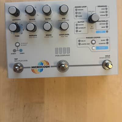 Hologram Electronics Microcosm | Reverb