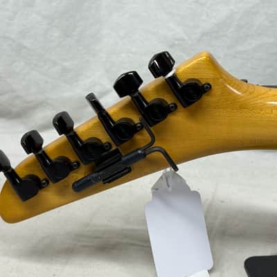 Hamer USA Chaparral Sustainiac Guitar with Case image 9
