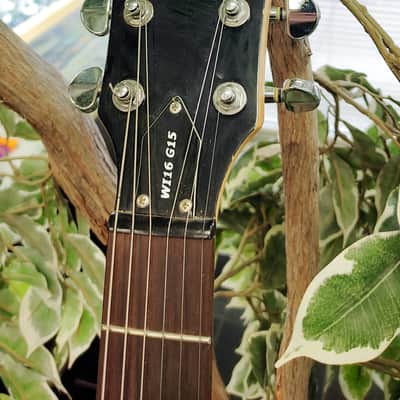 Washburn WI16 G15 Electric Guitar 2004 - Antique Brown with Art Work image 6