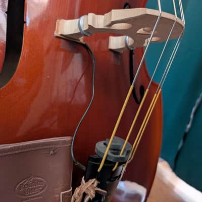 Scherl and Roth RG1E3 Solid Spruce Top 2001 - Traditional Reddish-Brown Nitro-Cellulose Varnish image 9