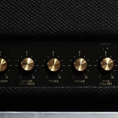 Friedman Amplification Wildwood 20 image 2