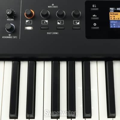 Studiologic Numa X 73-key Digital Piano with Hammer-action Keys (NumaX73d1) image 7