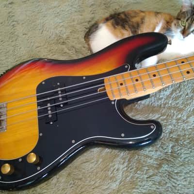 Cat sells Killer Bass :-) Greco Precision Bass 1980 Sunburst PB600S model \m/ image 1