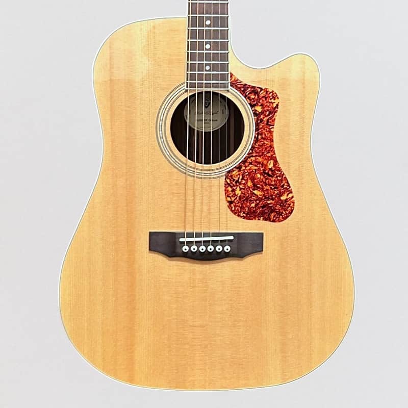 Guild D-260CE Deluxe Natural