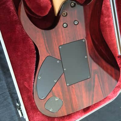 Ibanez J Custom SHOP - RG 1320 1996 - Brown. RARE FIND! image 6