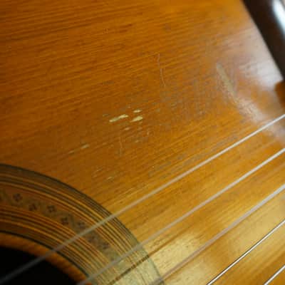 Masaru Kono No. 3D 1964 - Ezo Spruce/Indian Rosewood image 12