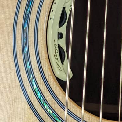 Used Zager ZAD900 Acoustic Guitar w/ L.R. Baggs Anthem image 6