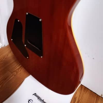 PRS Custom 24 - Natural Burst image 19