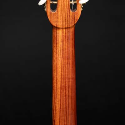 Rino Van Hooijdonk Selmer Replica 2016 image 11