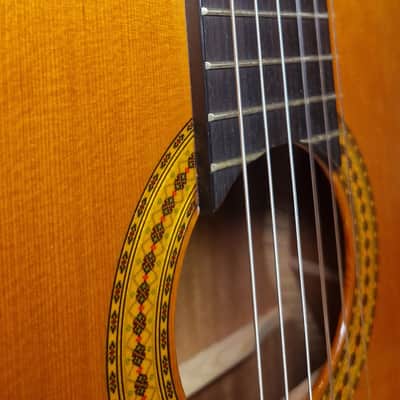 Yamaha GC12C Solid Cedar/Mahogany Classical Guitar image 10
