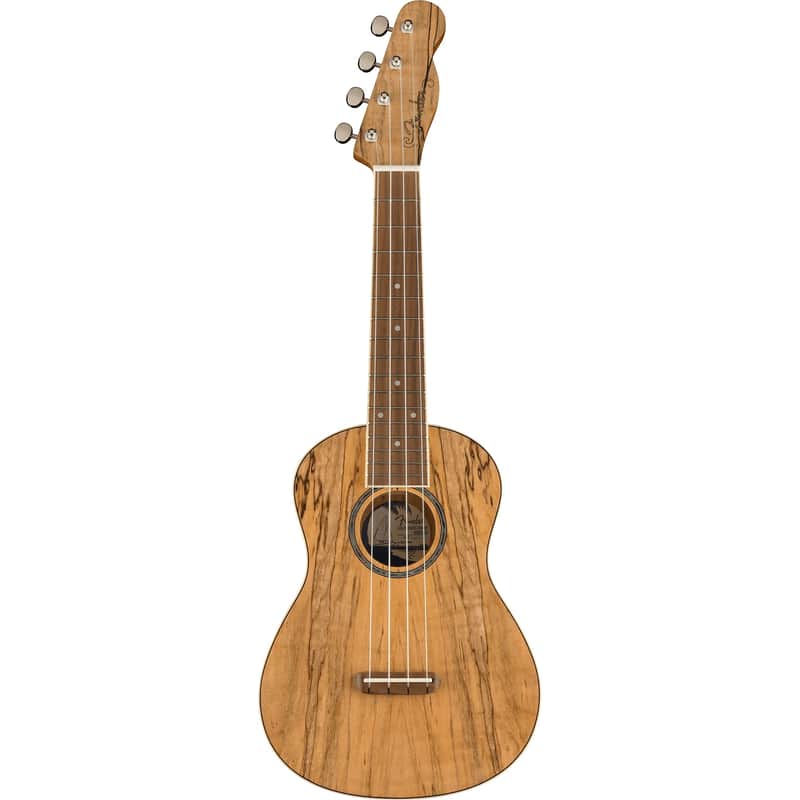 Fender Zuma Exotic Concert Ukulele, Walnut Fingerboard, Spalted Maple Bild 1