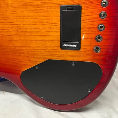 Lakland Skyline Series 55-02 5-String Electric Bass image 15