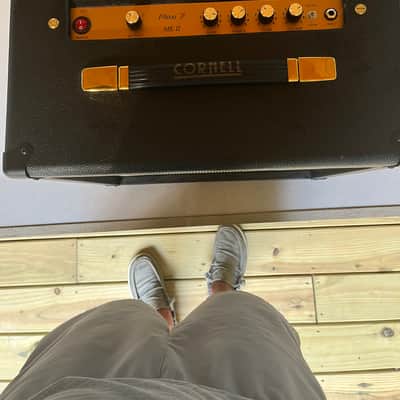 Cornell Plexi 7 image 5