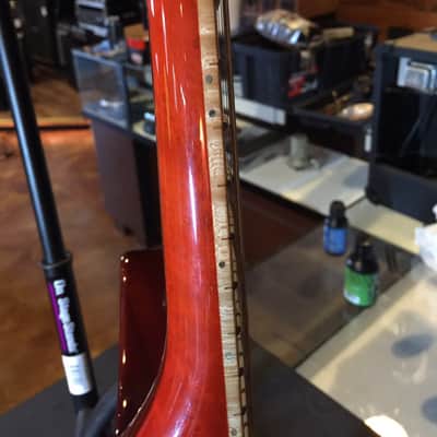 Washburn Custom Shop image 12