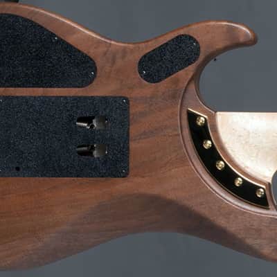 Washburn USA Nuno Bettencourt N4 Walnut Electric Guitar Birdseye Maple Neck w/ Hard Case image 3