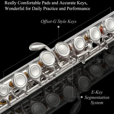 Concert Flute for Students – Beginner School Band Flute with Carry Case, Stand, Cleaning Kit & Accessories image 6