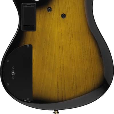 Ibanez SR4505-DST Prestige SR Electric Bass 5-String - Desert Sunset Burst + Case image 15