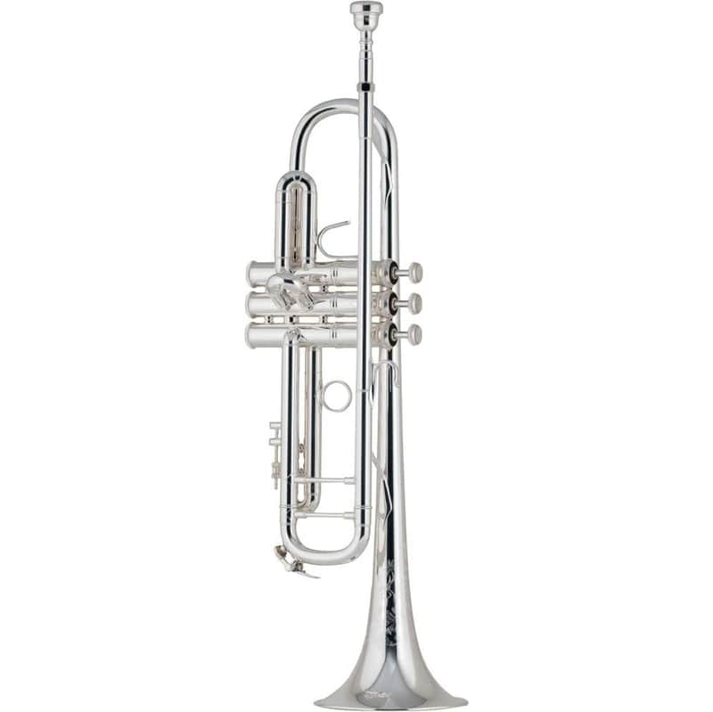 Bach 190 Stradivarius Professional Bb Trumpet - Silver-Plated image 1