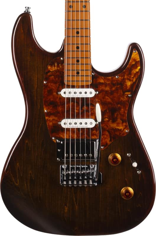 Godin Session T-Pro image 3