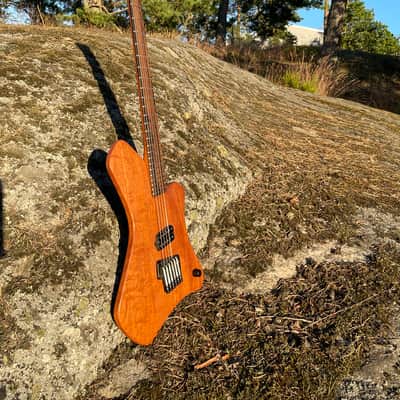 Polar Guitars Multiscale Handmade in Sweden image 8