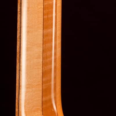 Buscarino Custom Artisan (2010) image 6