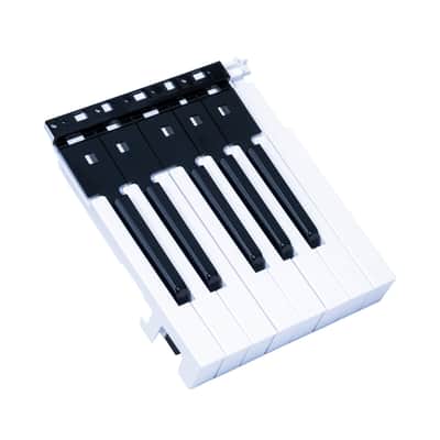 Korg 13-Note Key Assembly with High-C Key for LP-180, SP-170, SP-170S, SP-280 image 2
