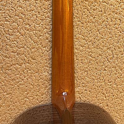 Cordoba C10 Cedar Classical Guitar – Very Good Condition, Pre-Yamaha Era (2019) image 19