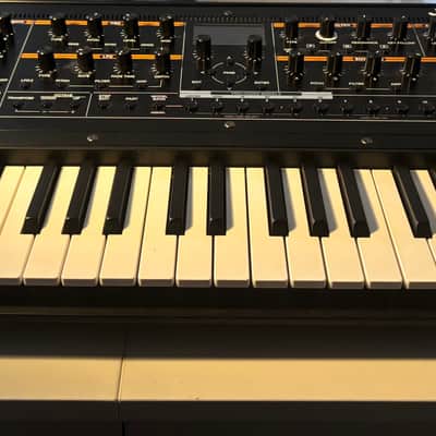 Roland Jupiter-Xm 37-Key Synthesizer 2019 - Present - Black image 2